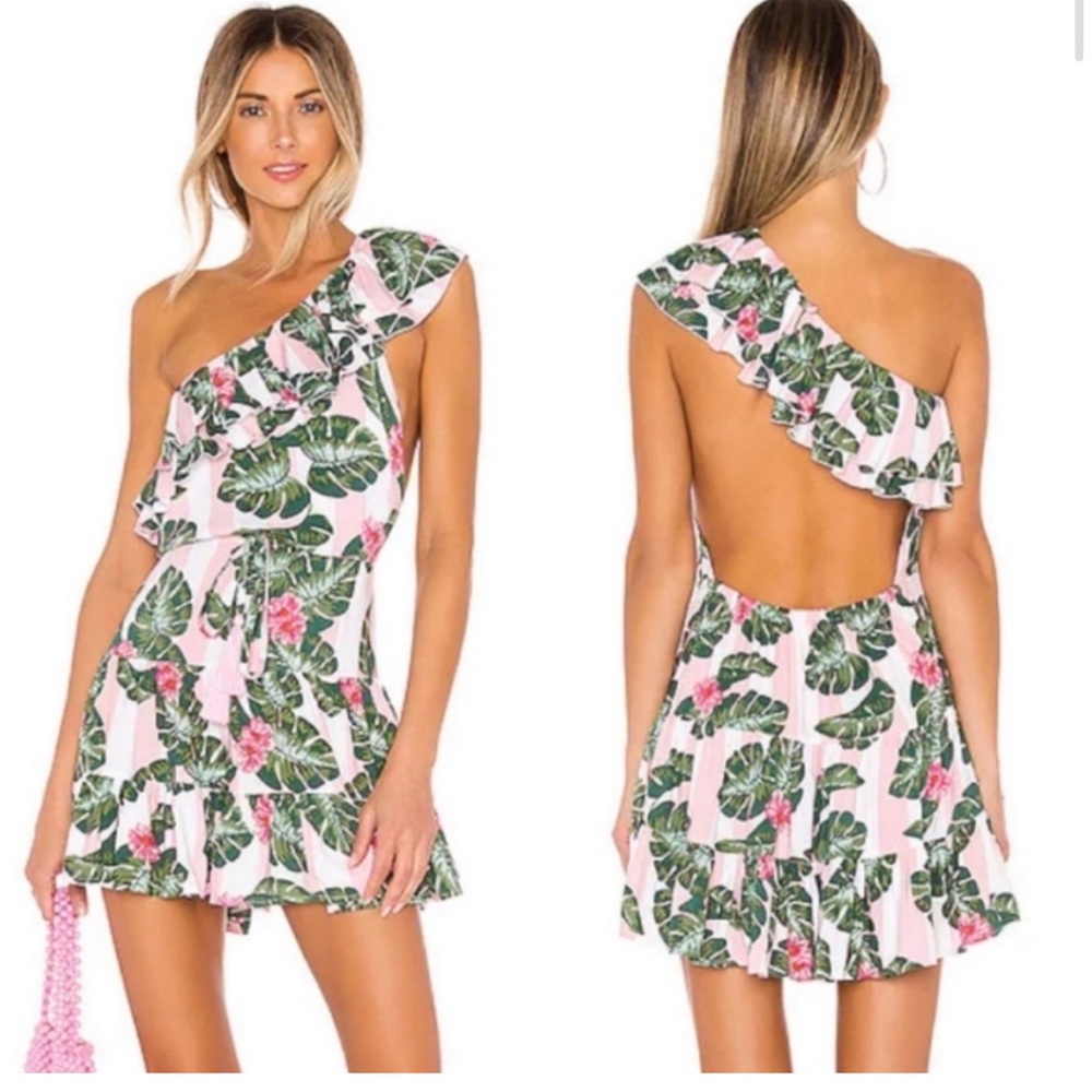 Lover + Friends Amity Mini Dress